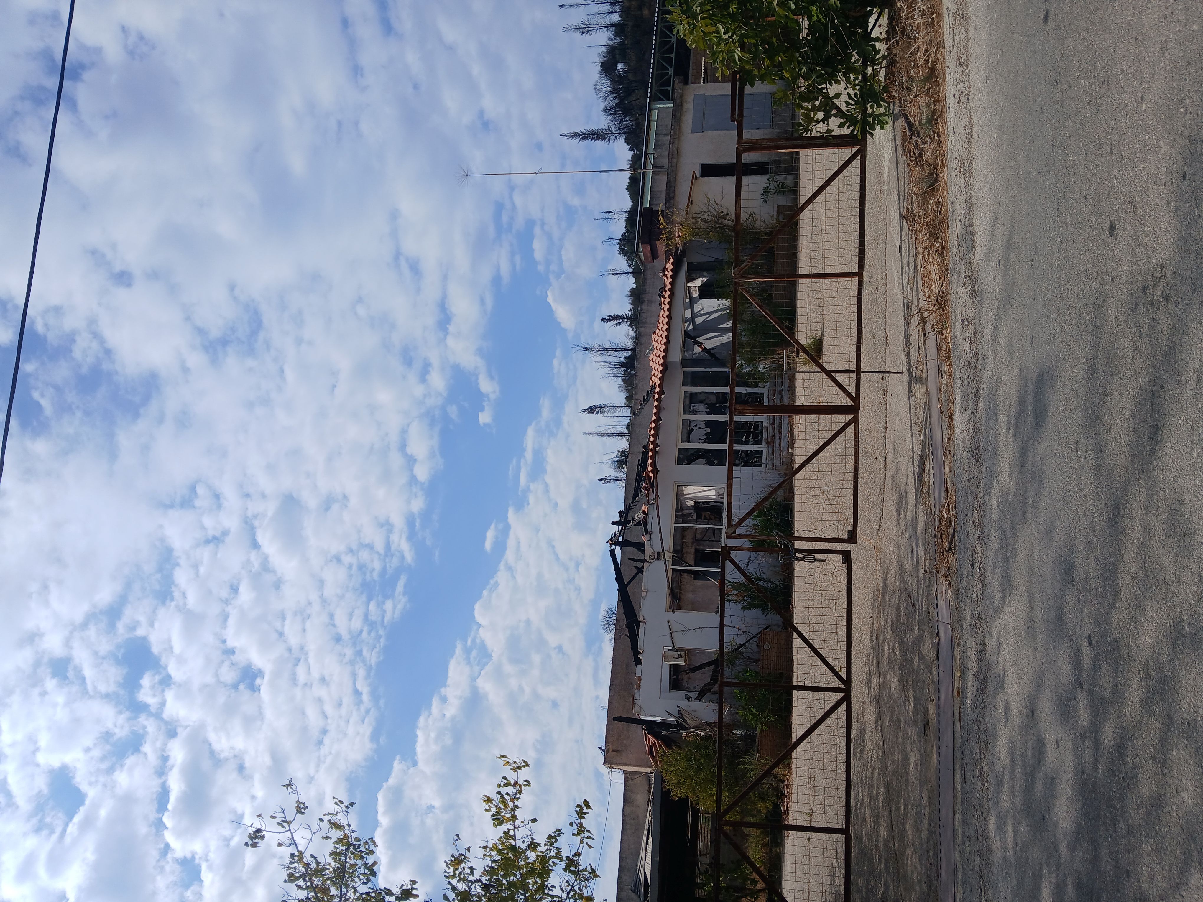 photo0