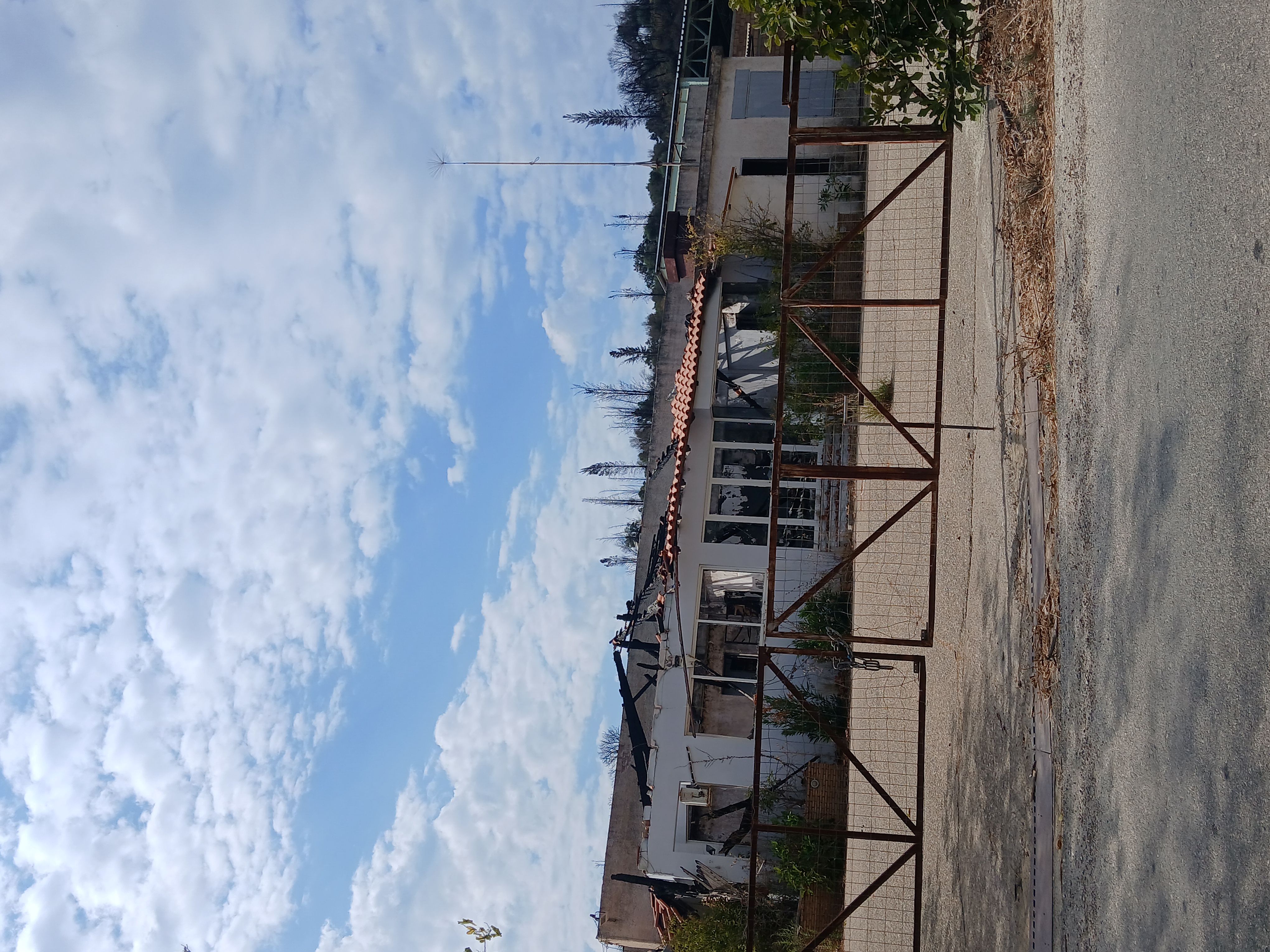 photo1