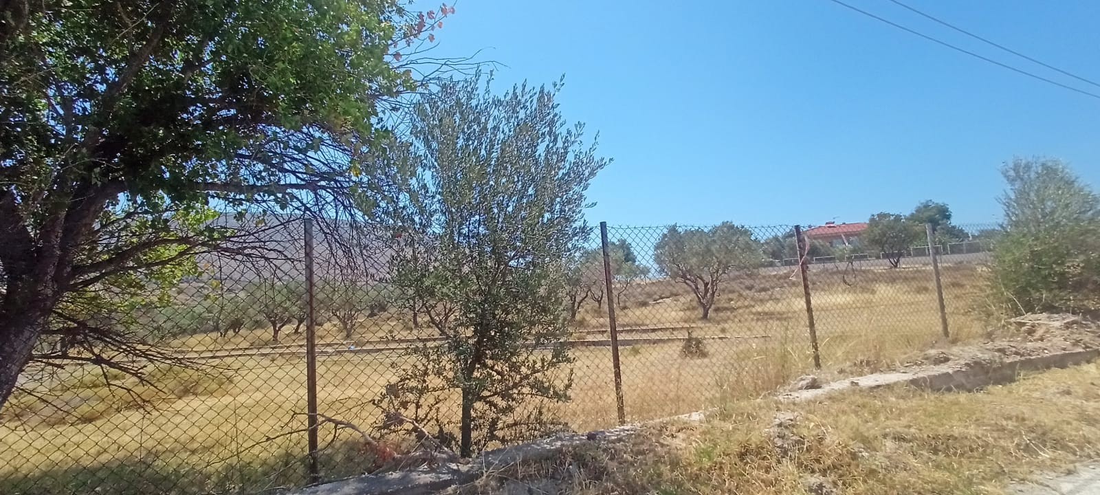 Αγροτεμάχιο  σε πλειστηριασμό Municipality of Saronikos