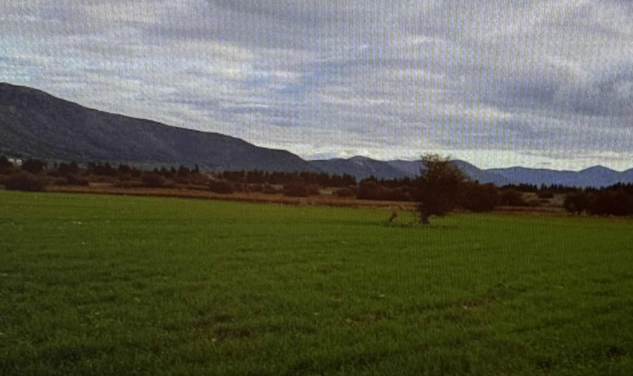 photo2