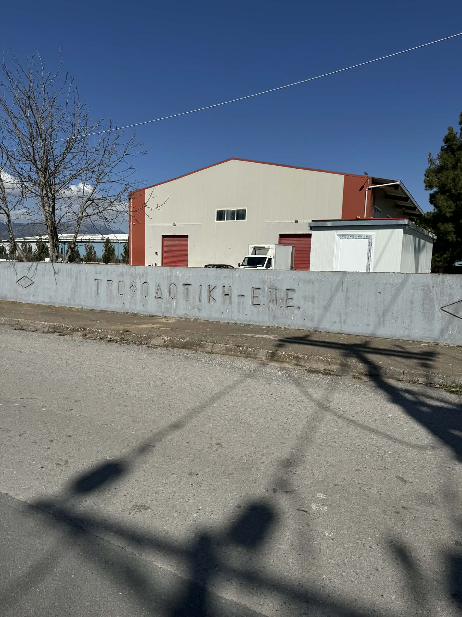 photo1