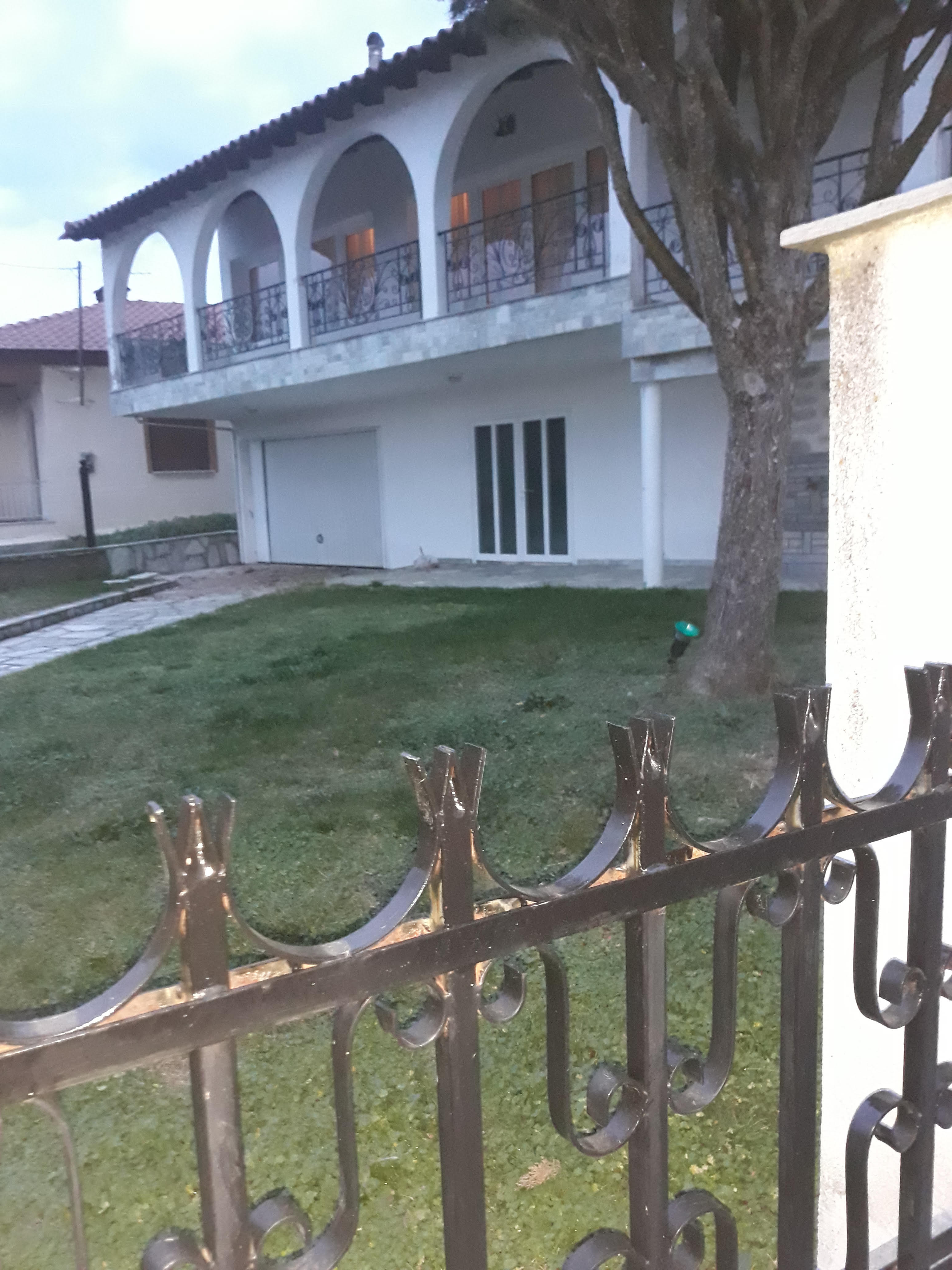 photo1