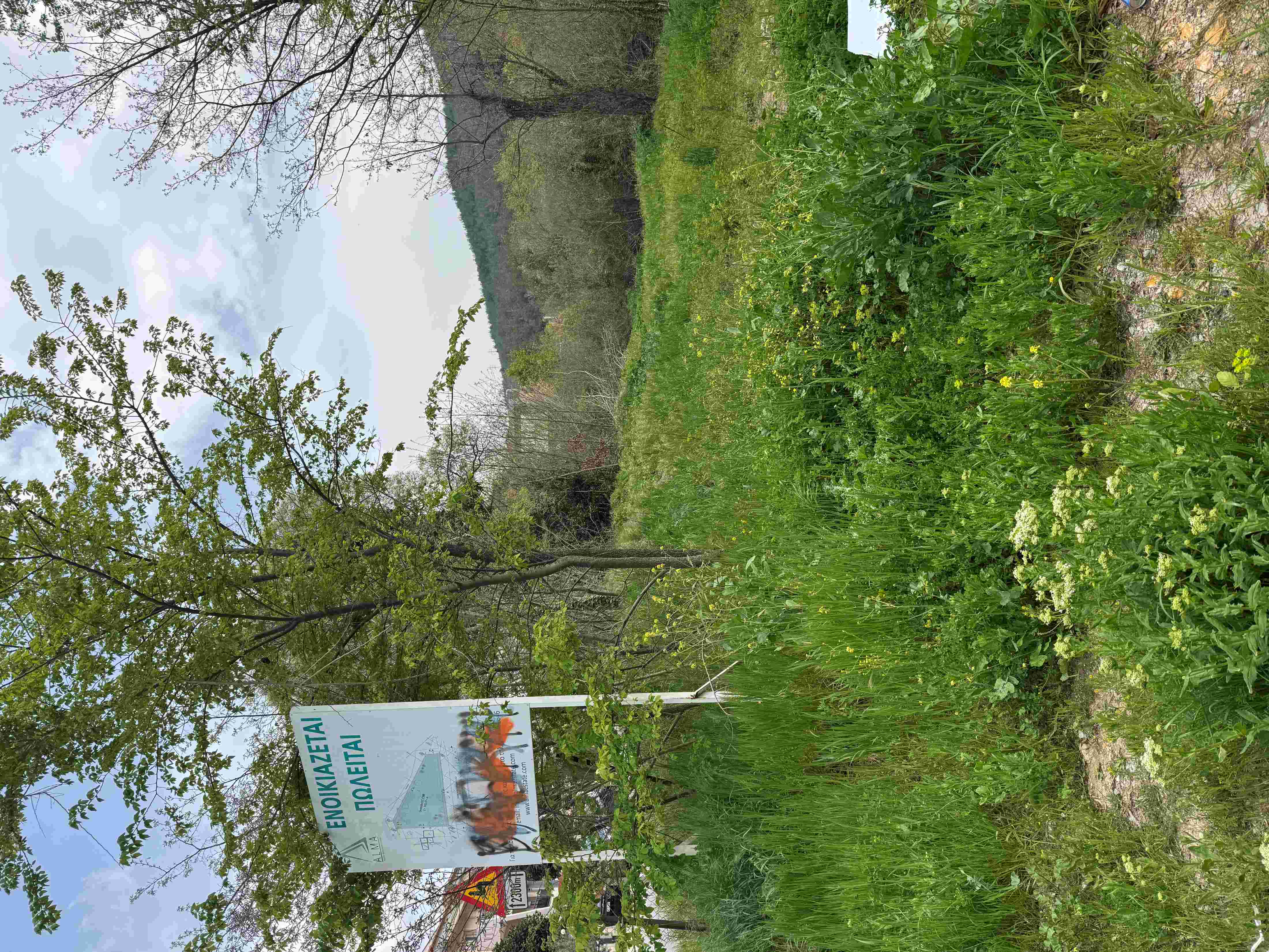 photo0