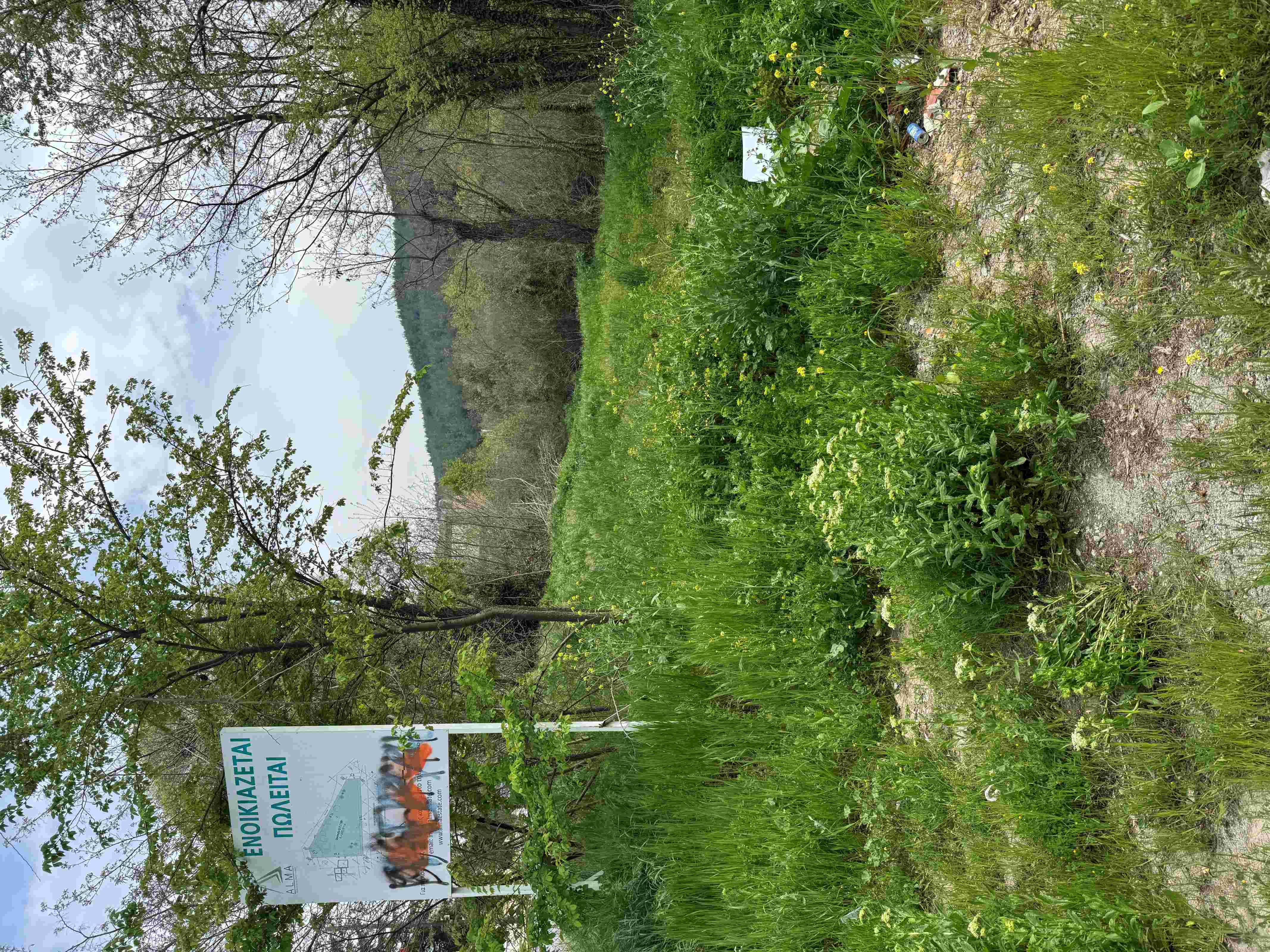 photo1
