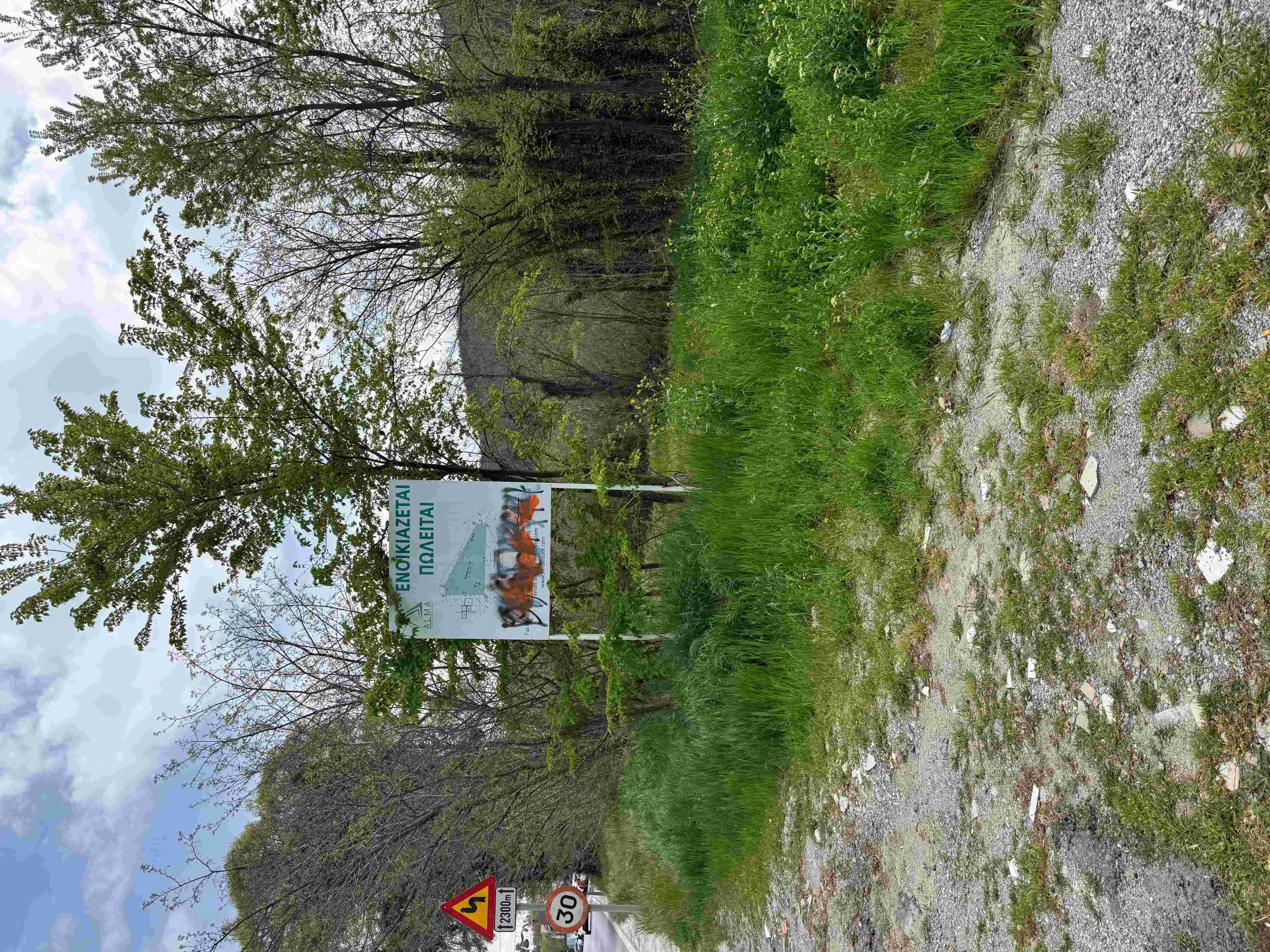 photo2