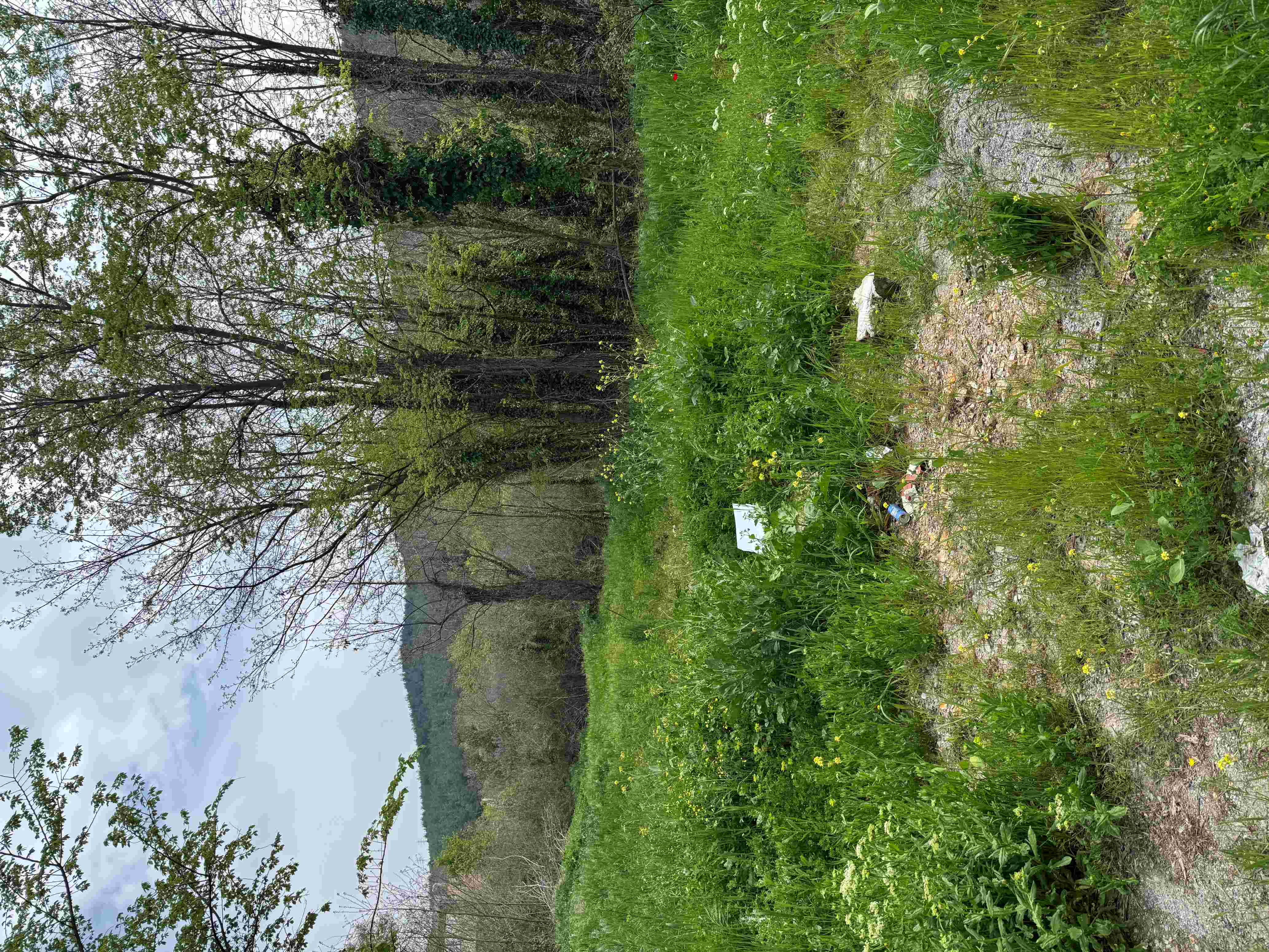 photo3