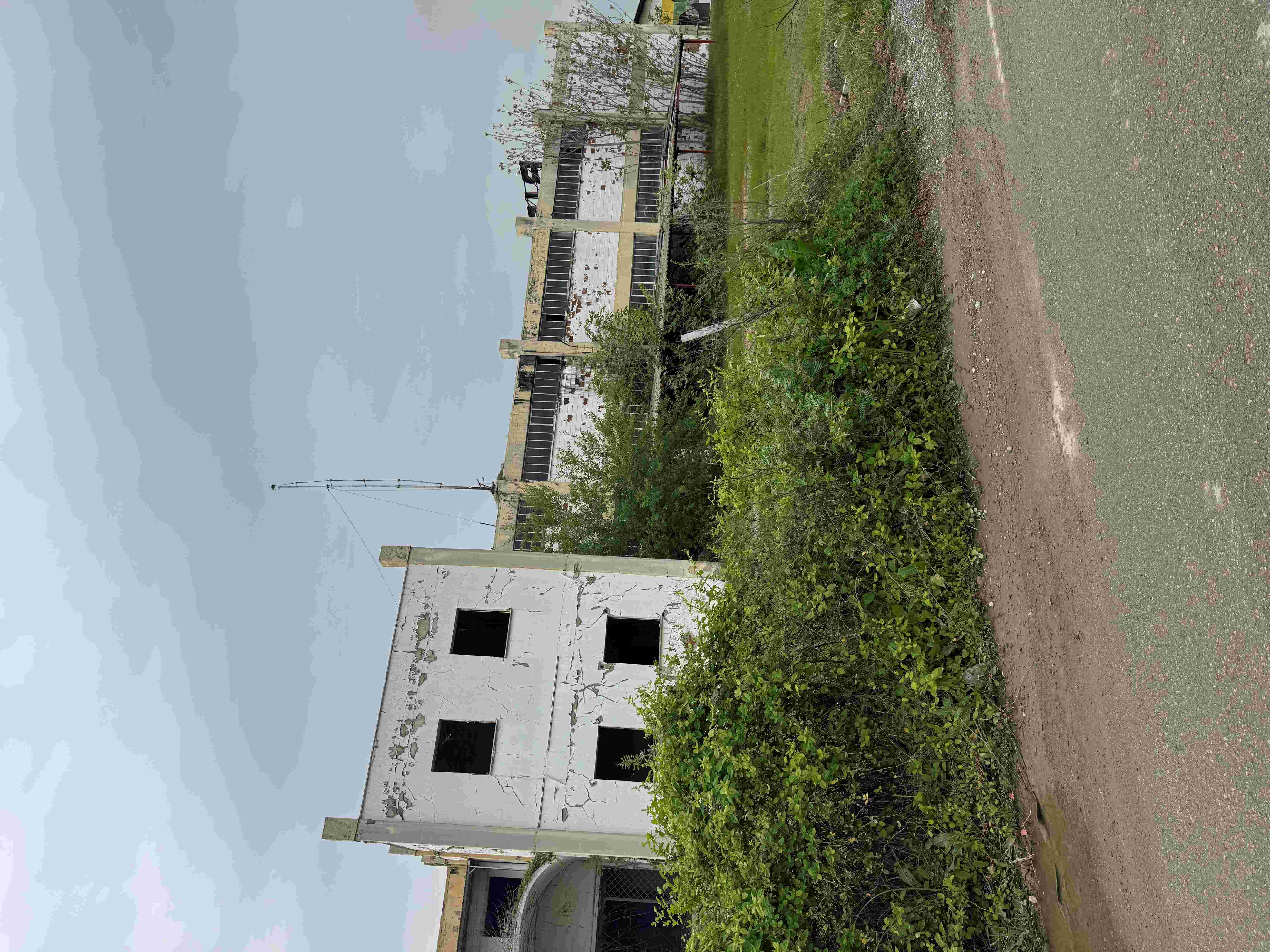 photo1