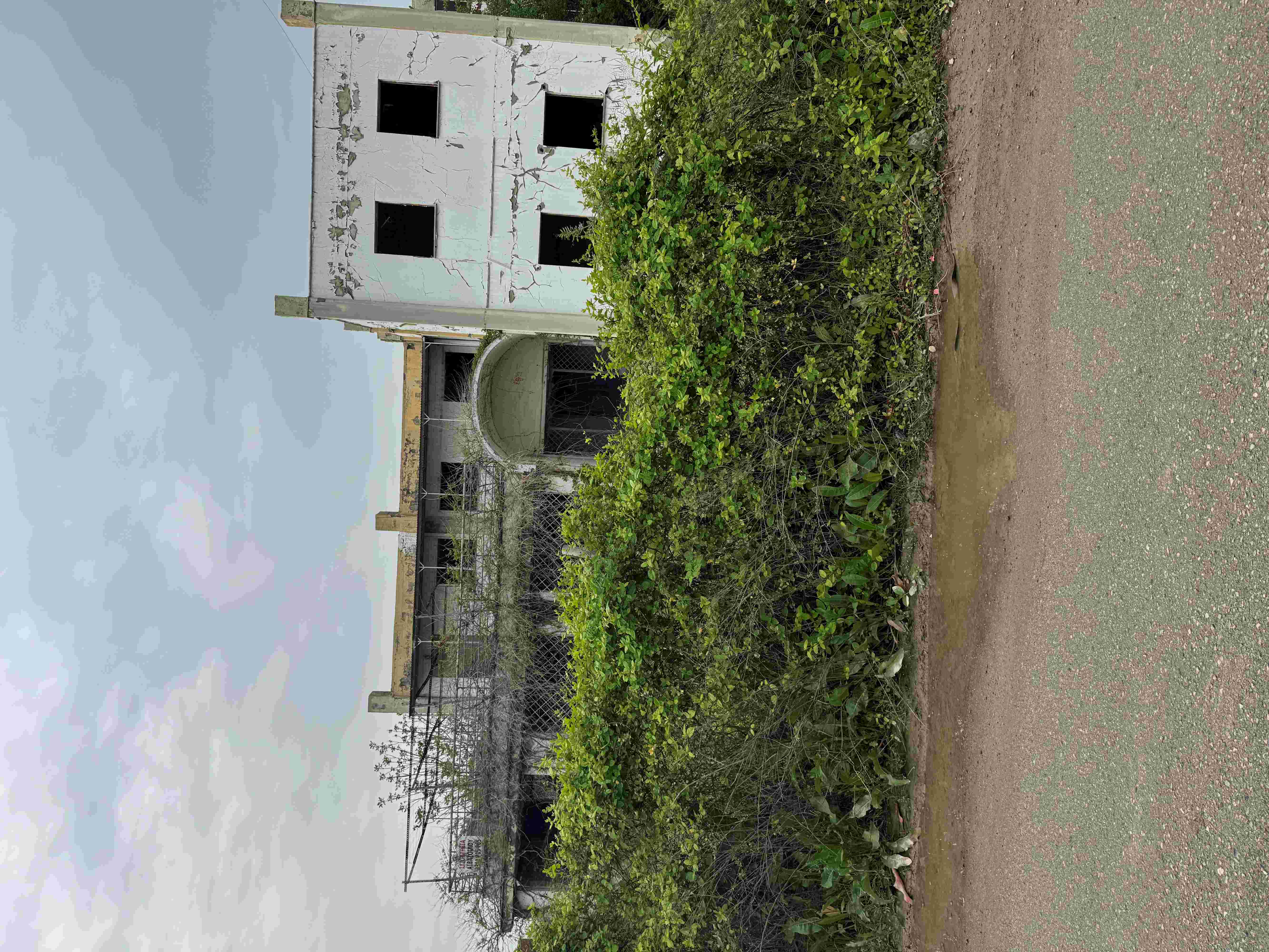 photo2