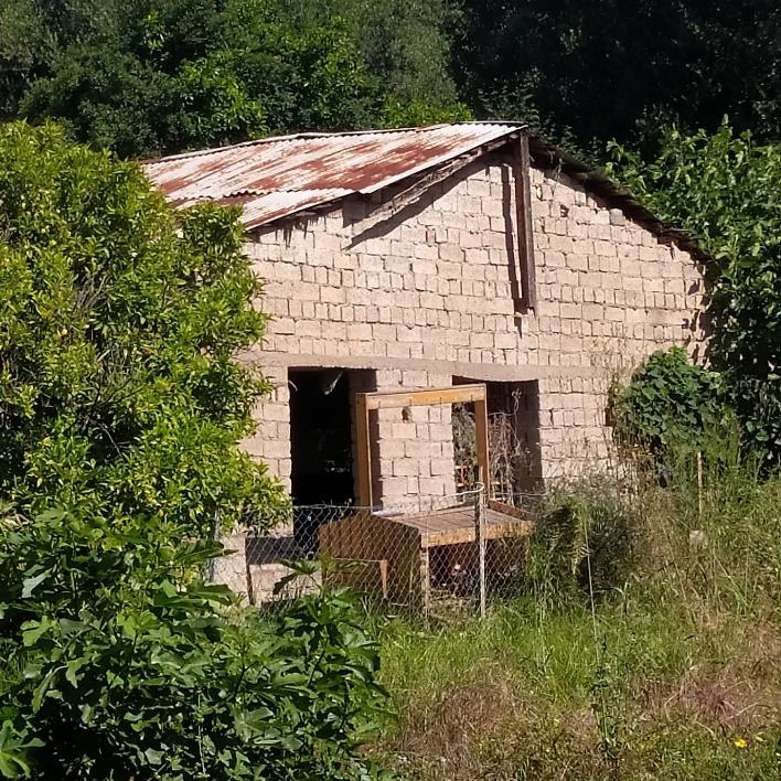 Οικόπεδο με κτίσμα  σε πλειστηριασμό Municipality of Kalamata
