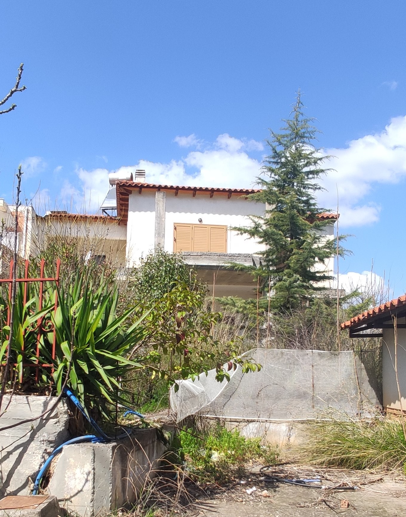 photo1