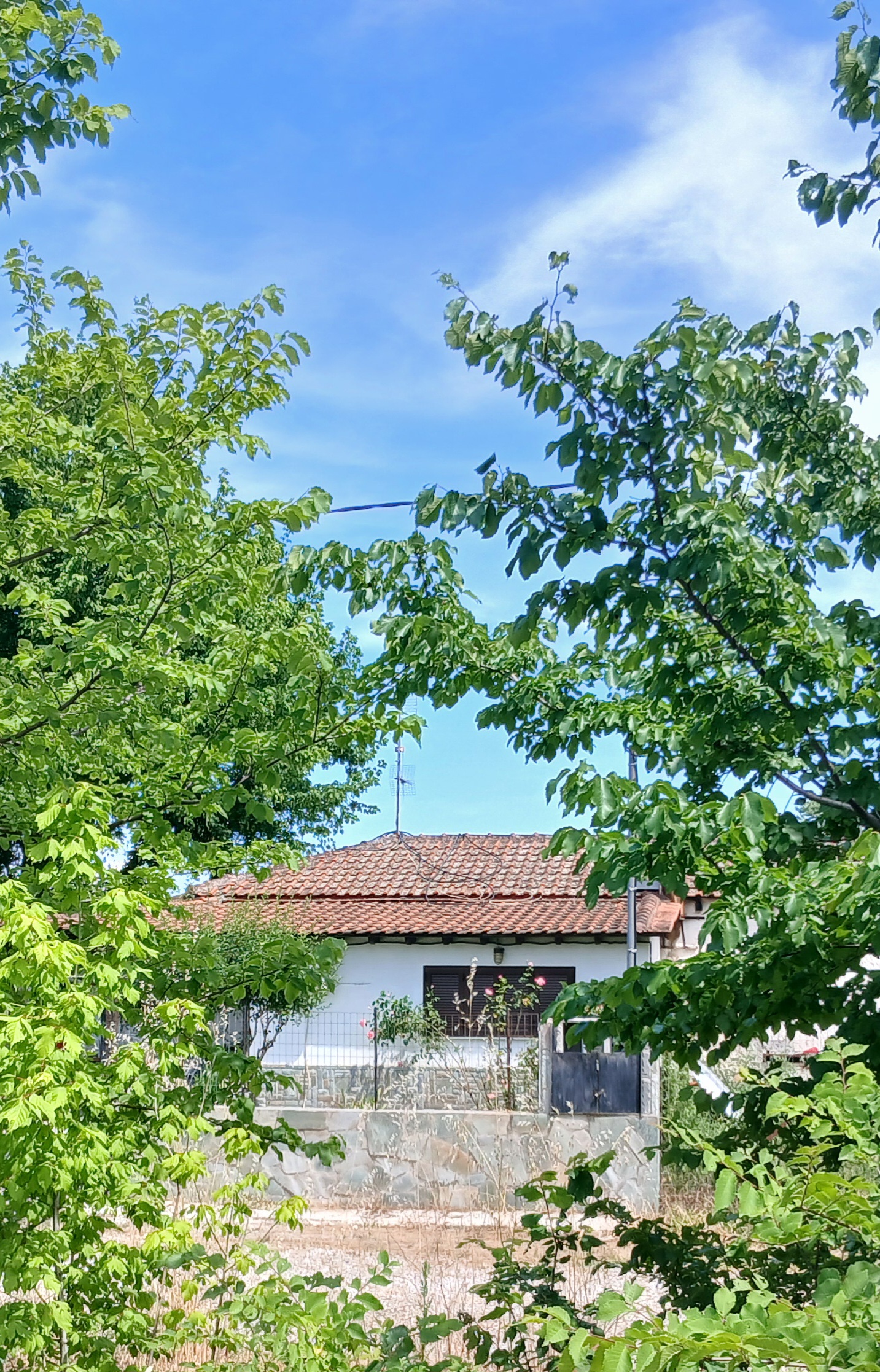 photo4