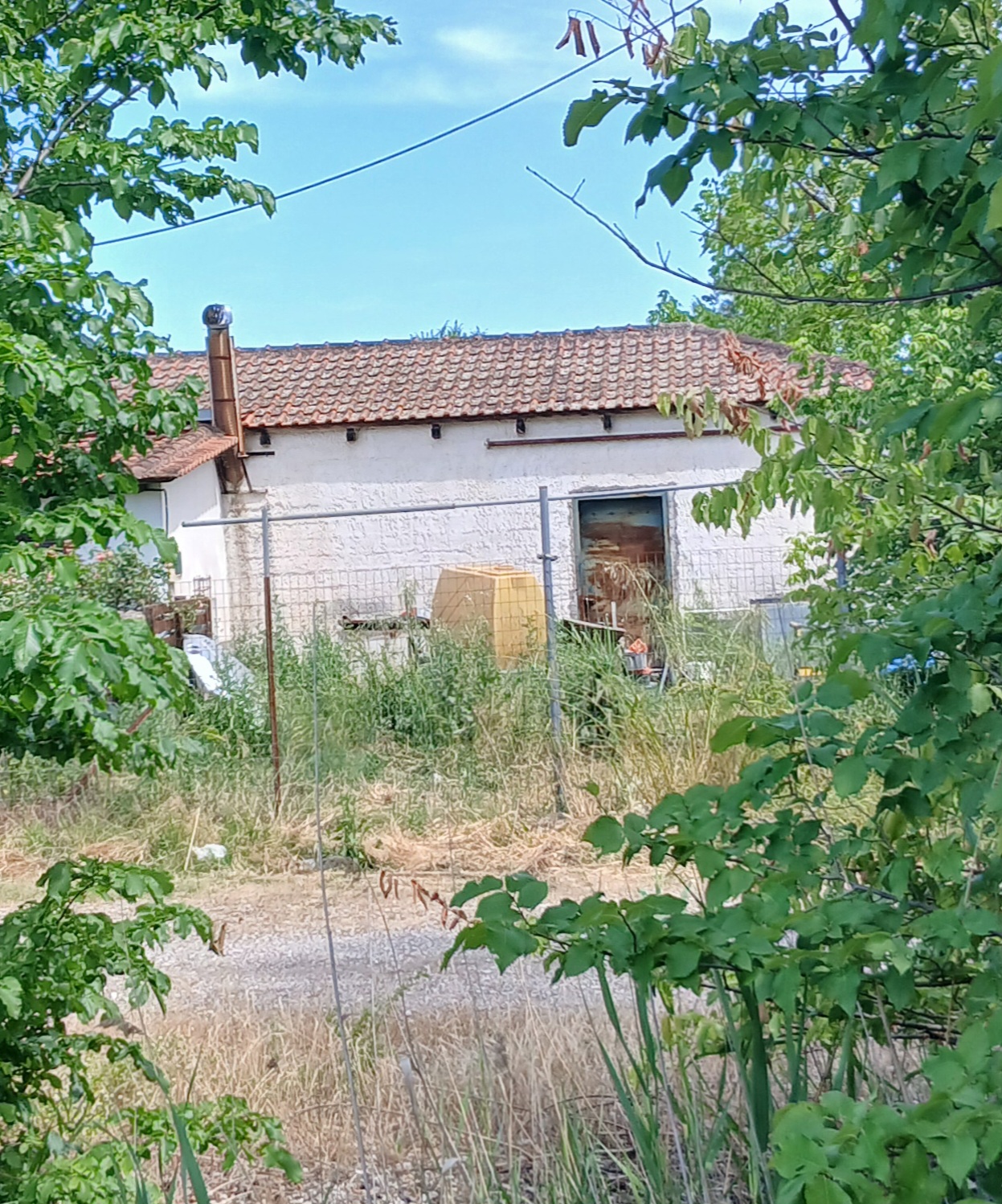 Αγροτεμάχιο με κτίσμα  σε πλειστηριασμό Δήμος Τρικκαίων