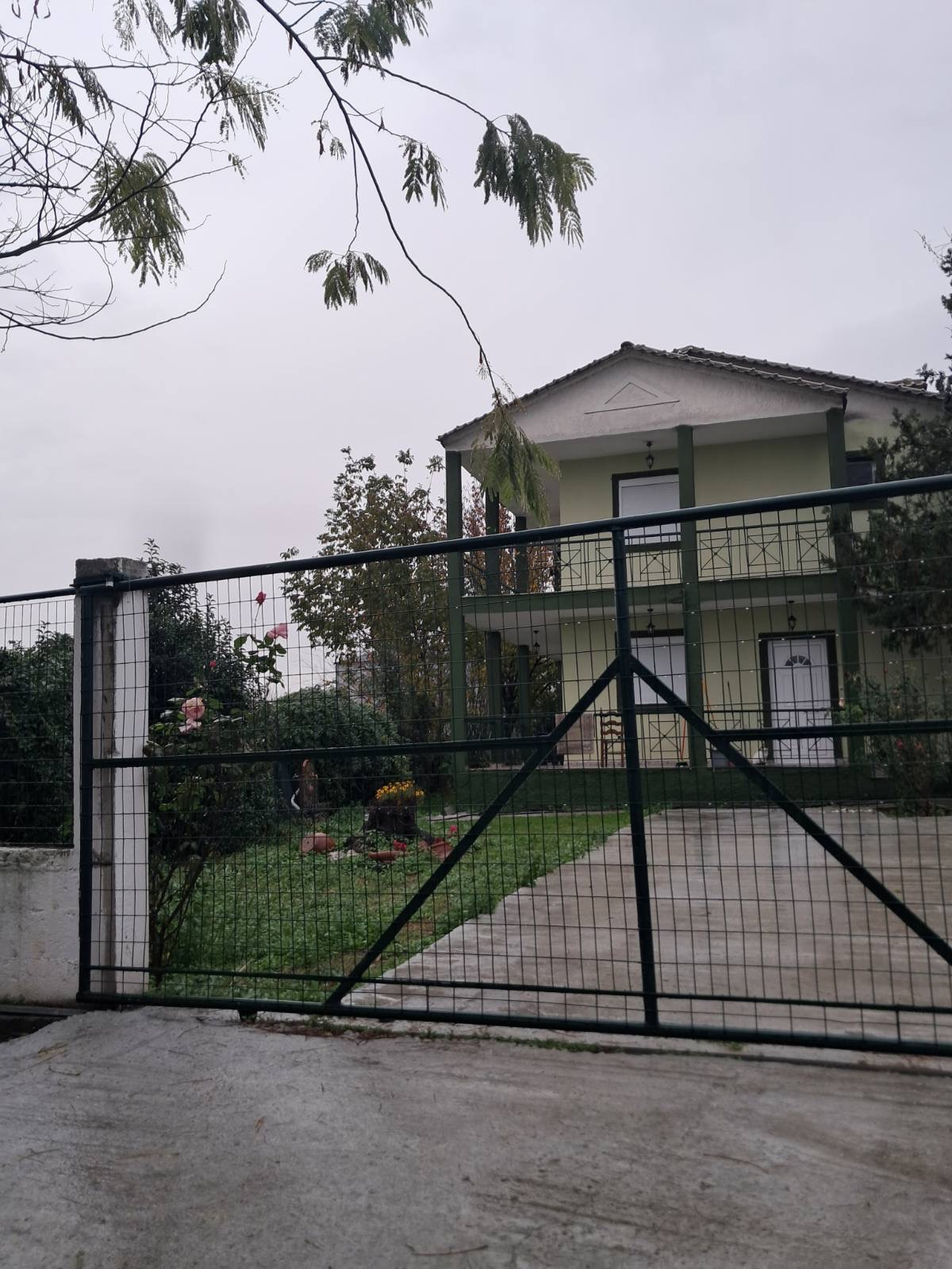 Οικόπεδο με κτίσμα  σε πλειστηριασμό Δήμος Φαρσάλων