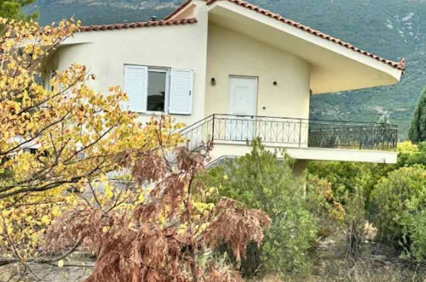 Αγροτεμάχιο με κτίσμα  σε πλειστηριασμό Δήμος Λεβαδέων