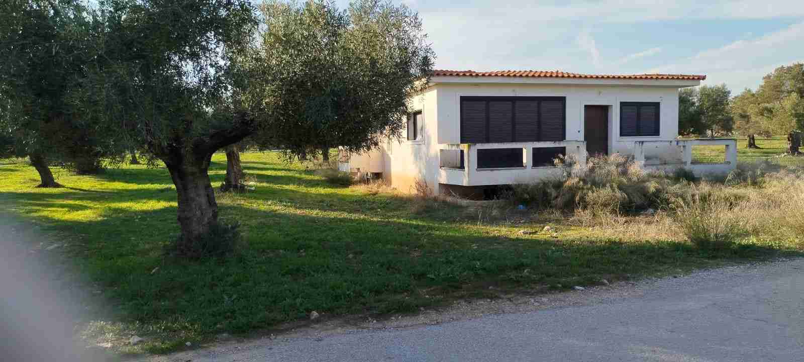 Κατοικία  σε πλειστηριασμό Δήμος Μεγαρέων