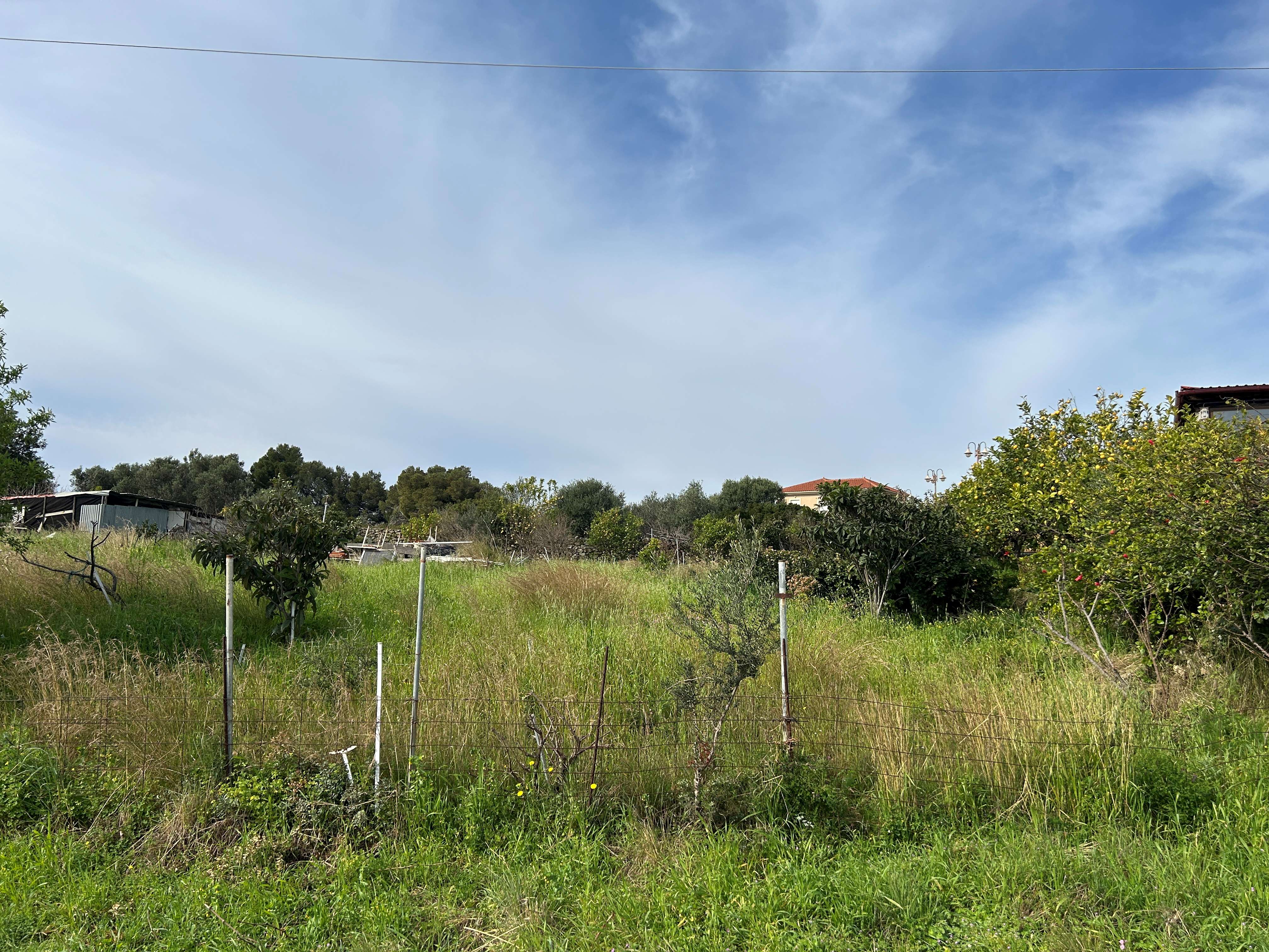 Αγροτεμάχιο με κτίσμα 12 τ.μ. σε πλειστηριασμό Δήμος Κεφαλονιάς