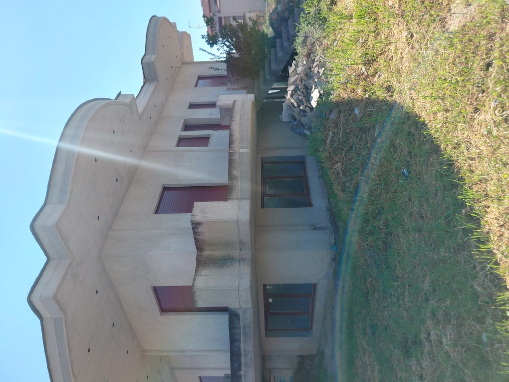 photo3