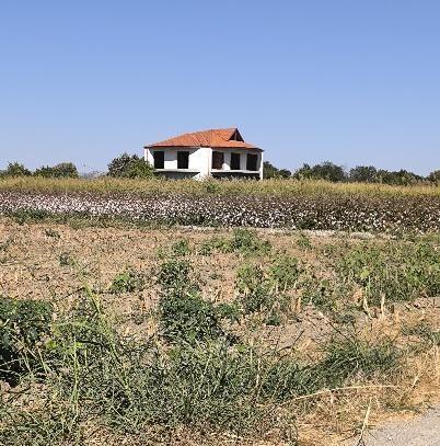 Αγροτεμάχιο με κτίσμα  σε πλειστηριασμό Δήμος Κατερίνης