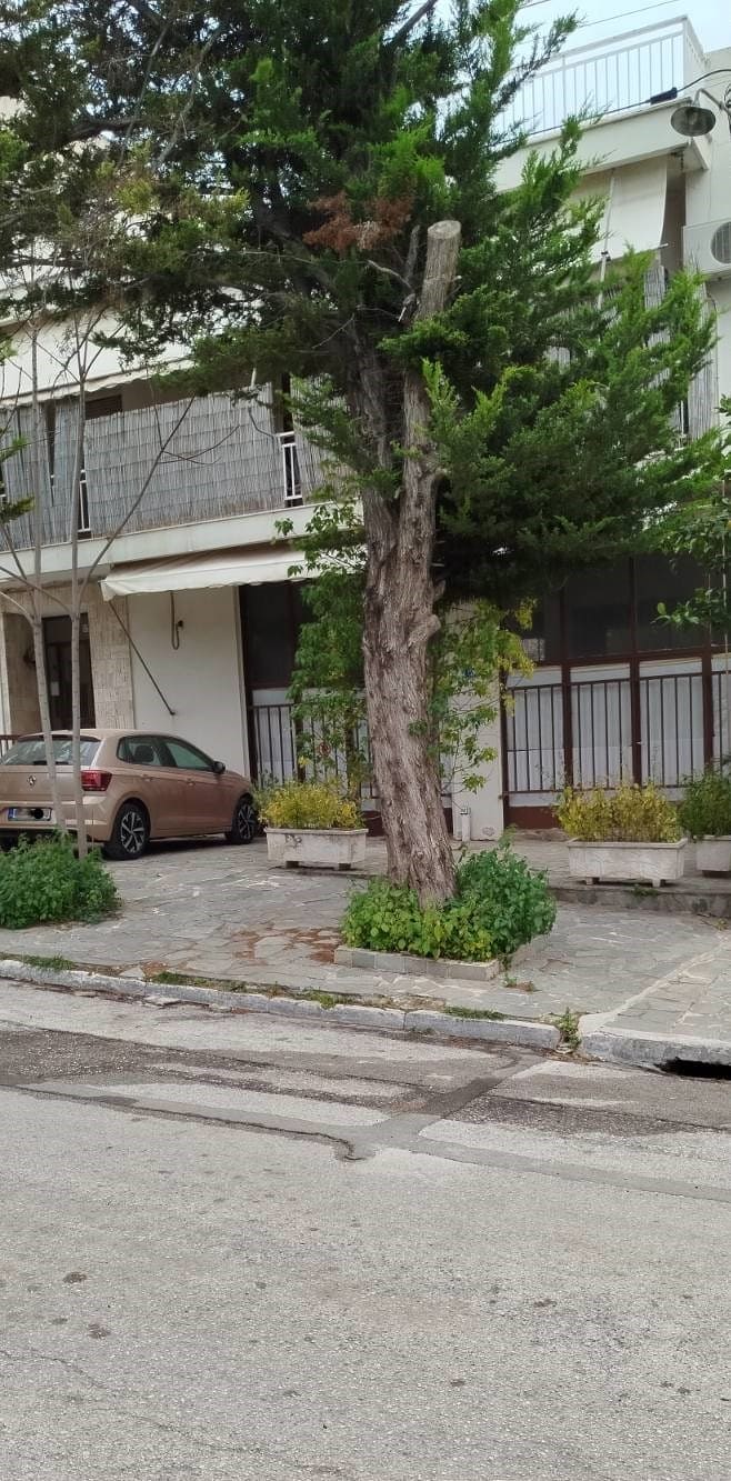 Κατοικία  σε πλειστηριασμό Δήμος Ηλιουπόλεως