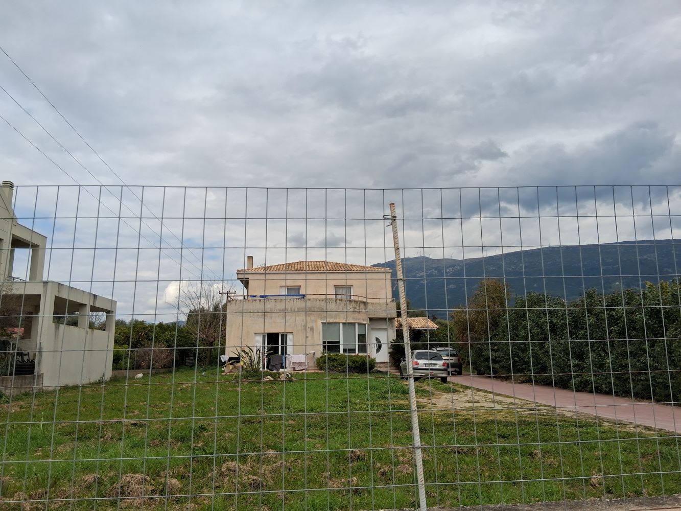 photo8