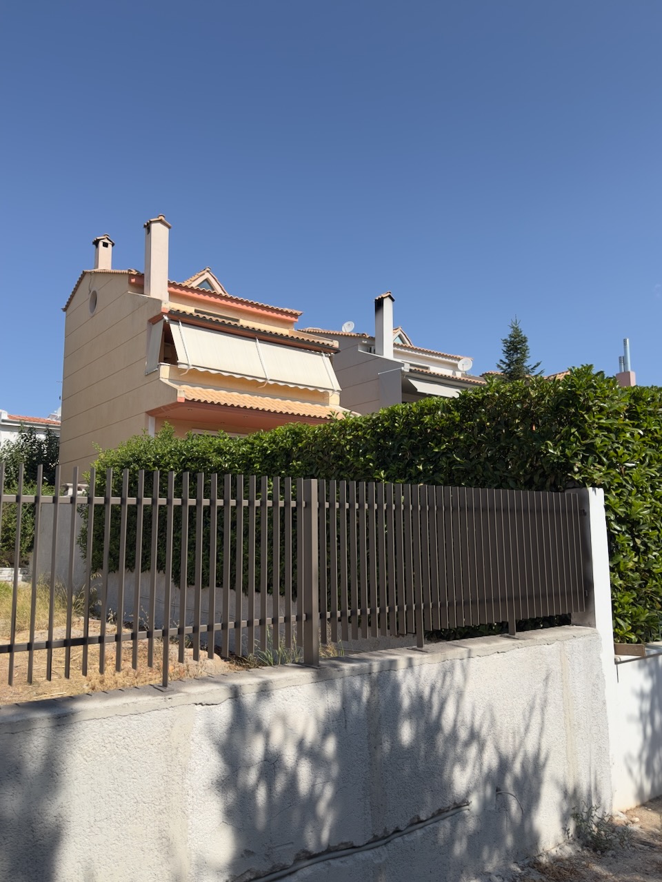 photo1