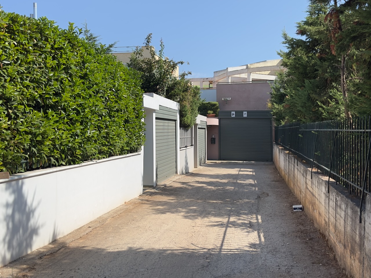 photo6