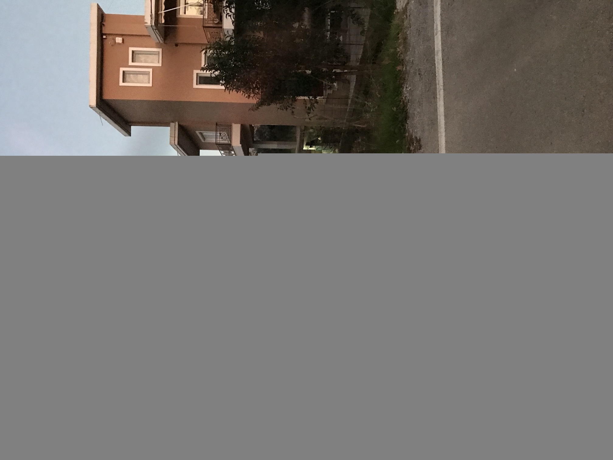 photo1