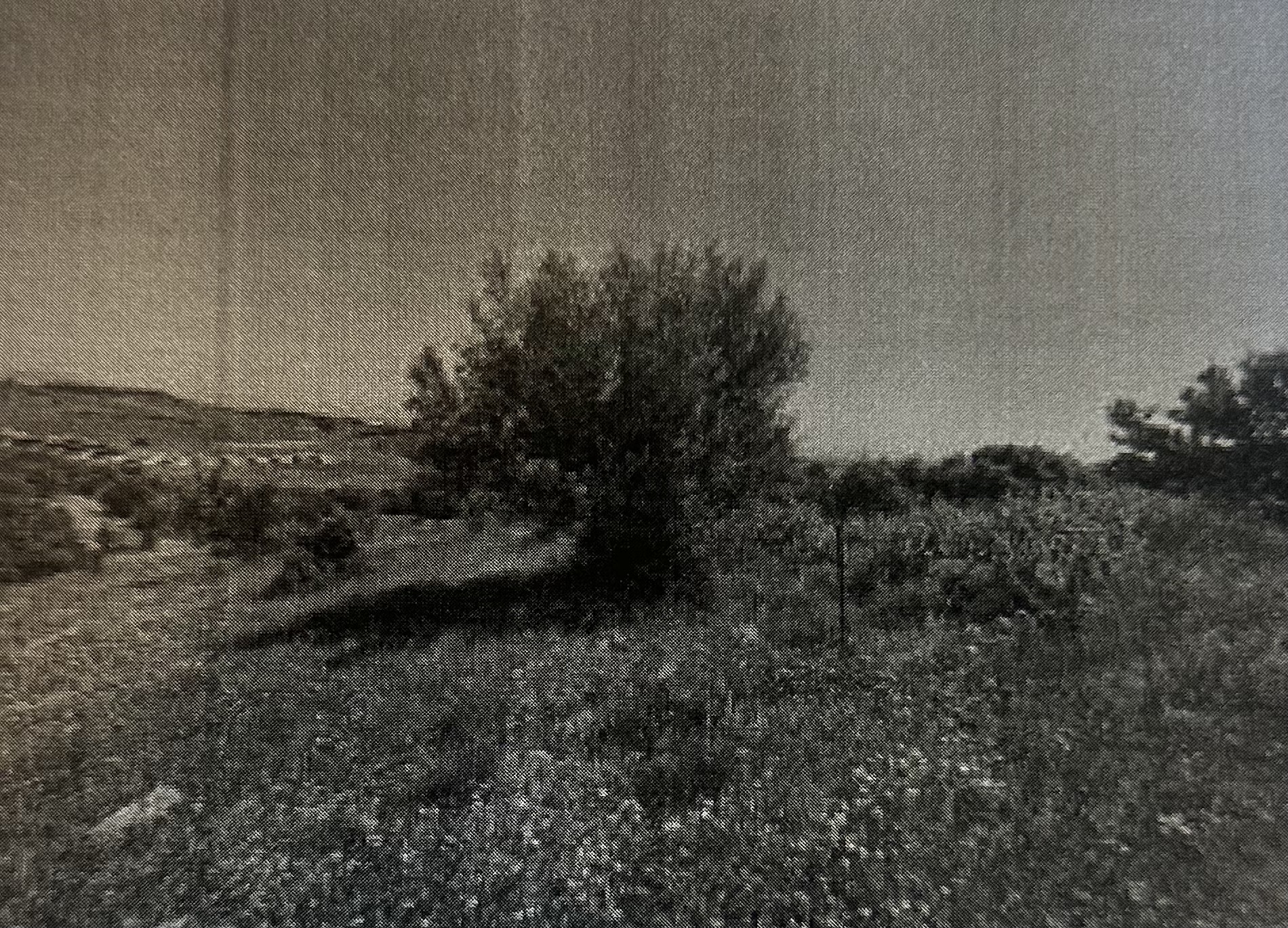 photomain