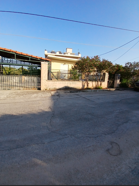 photo1