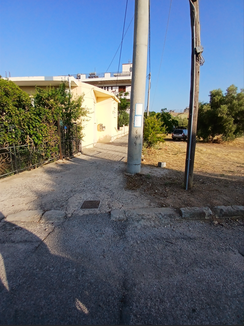 photo4