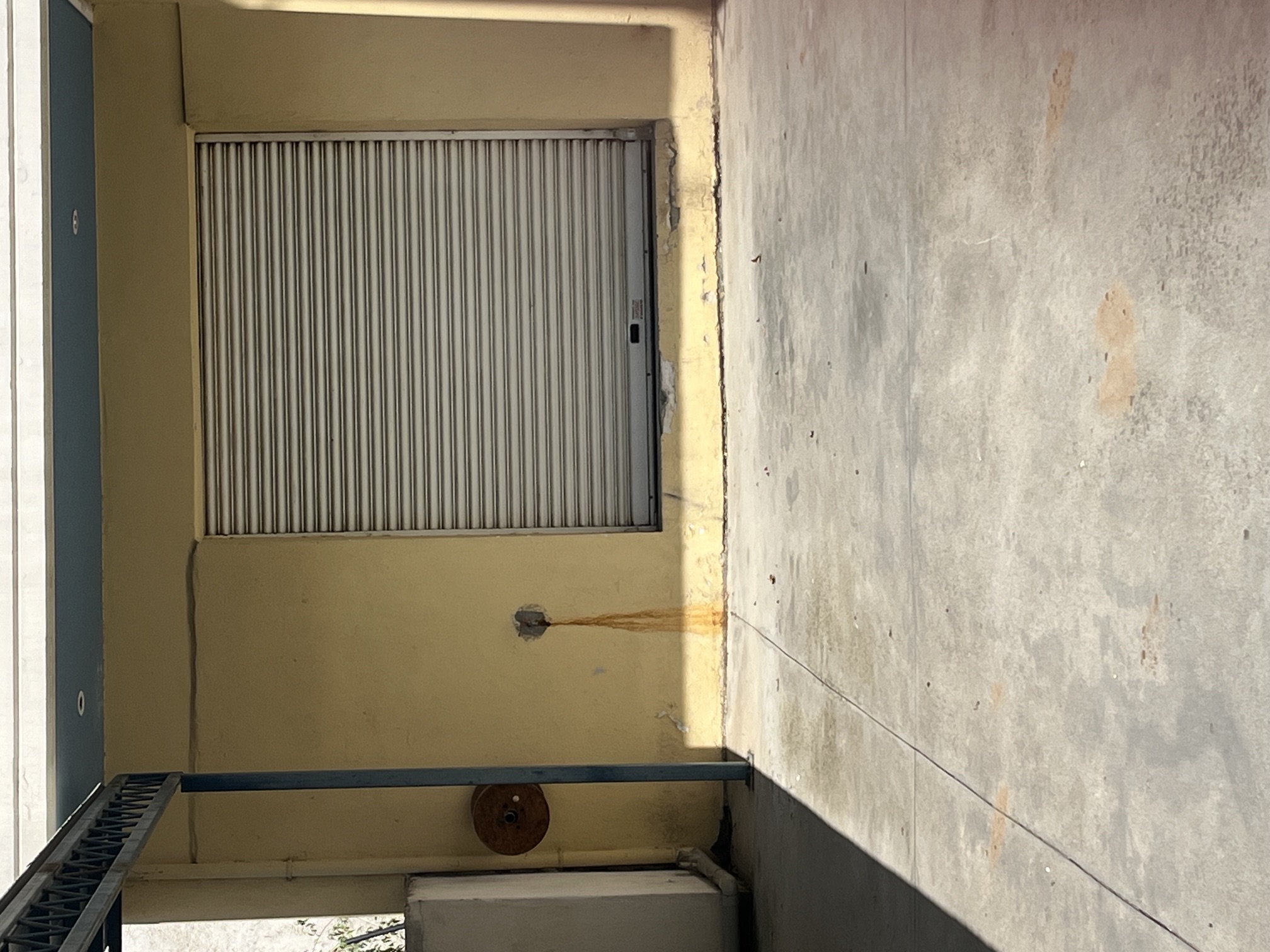 photo1