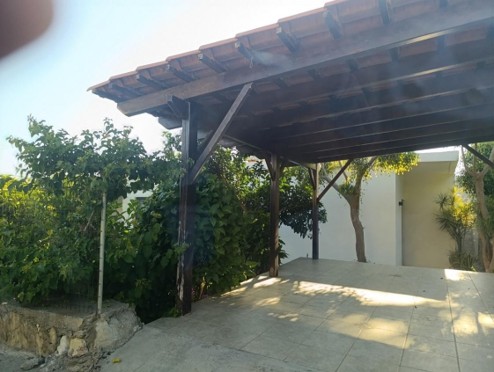photo1