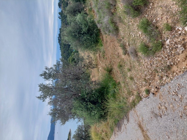 photo1