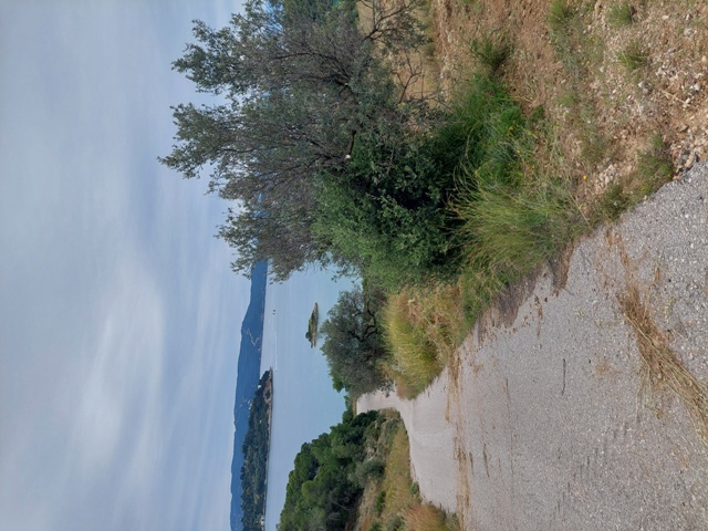 photo2