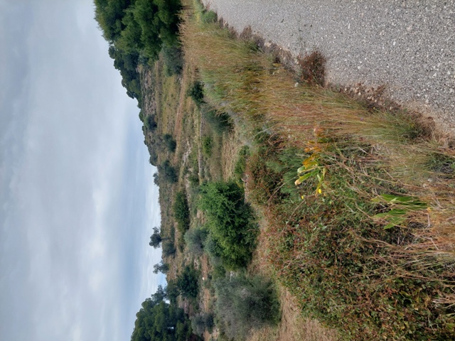 photo3