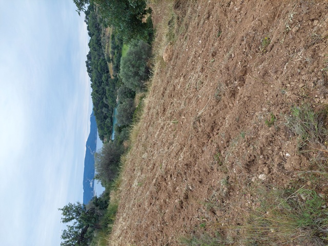 photo1