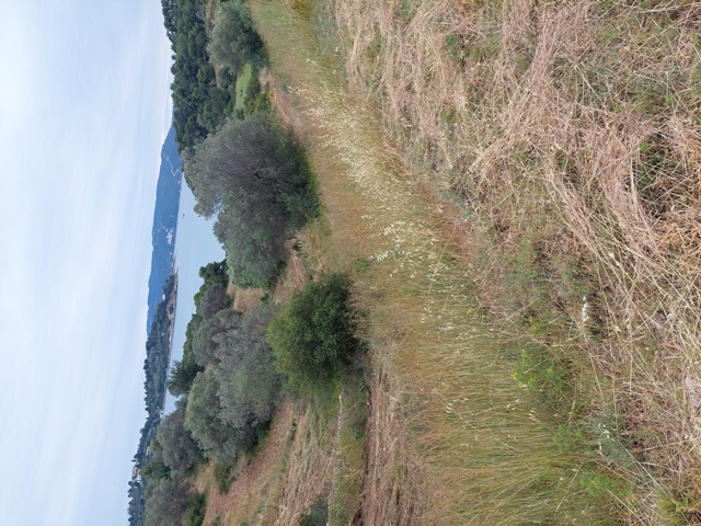 photo2