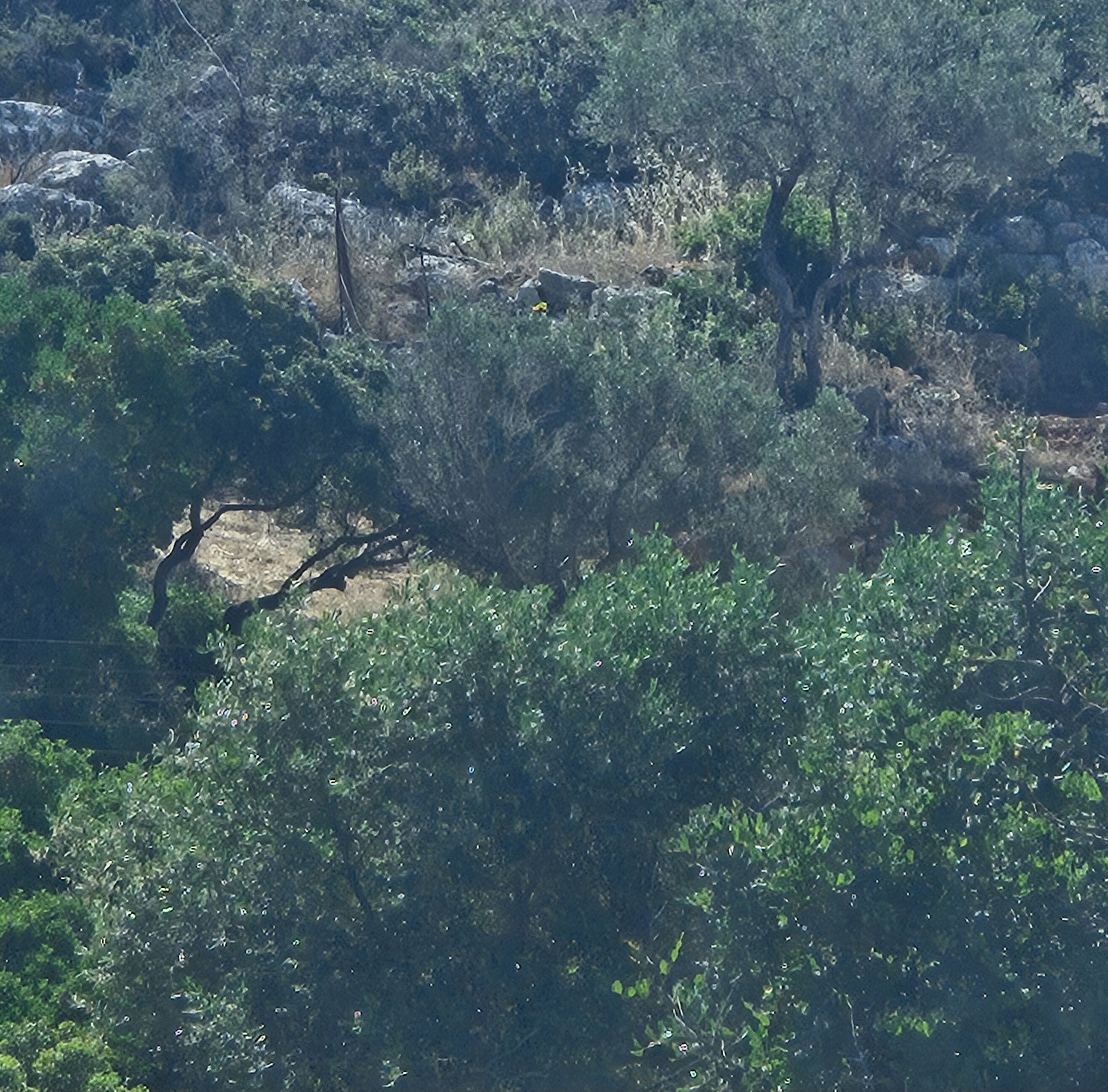 photo2