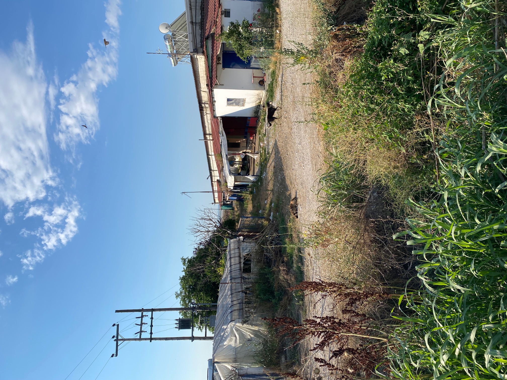 photo1
