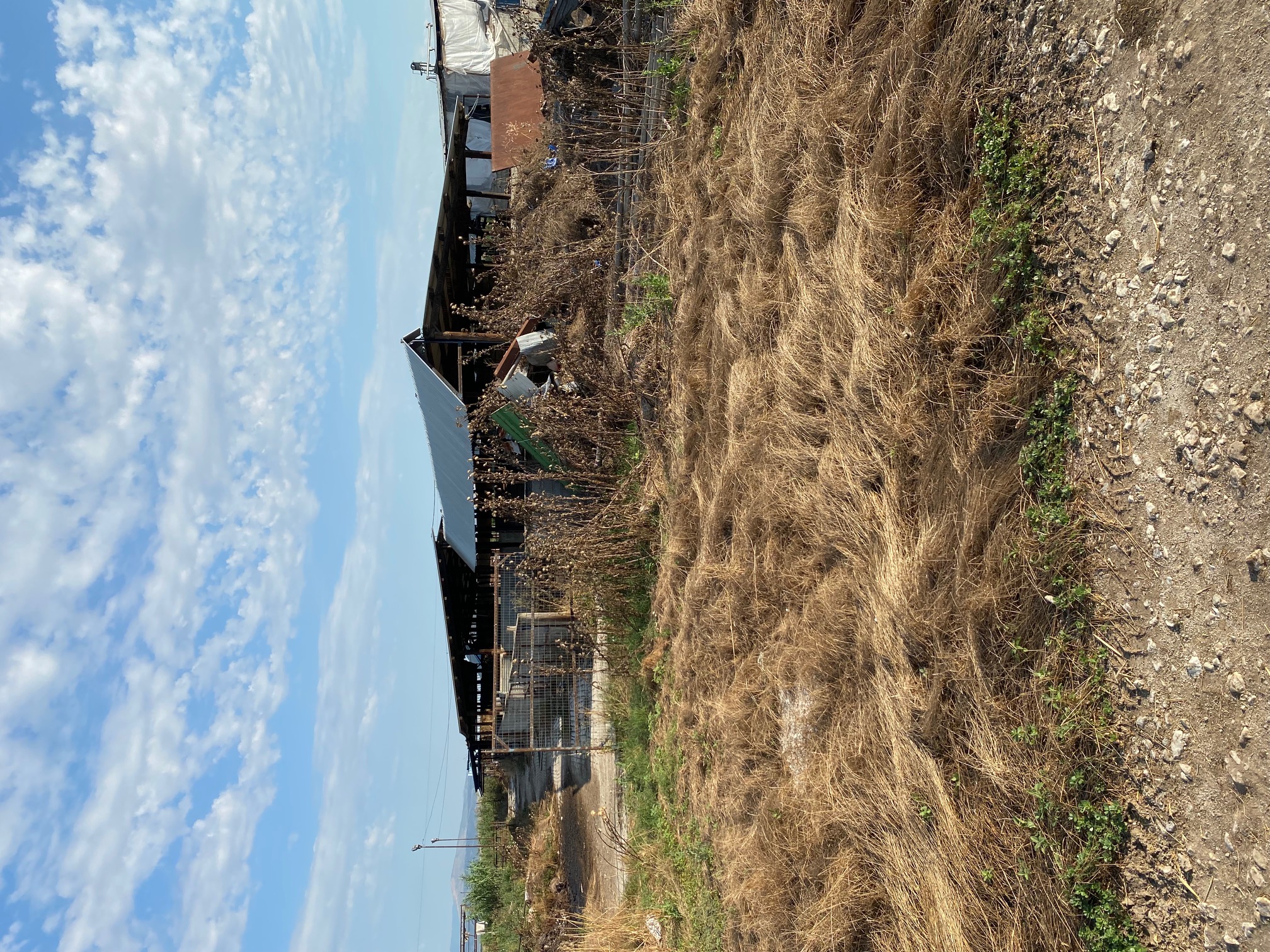 photo6