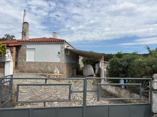 photo0
