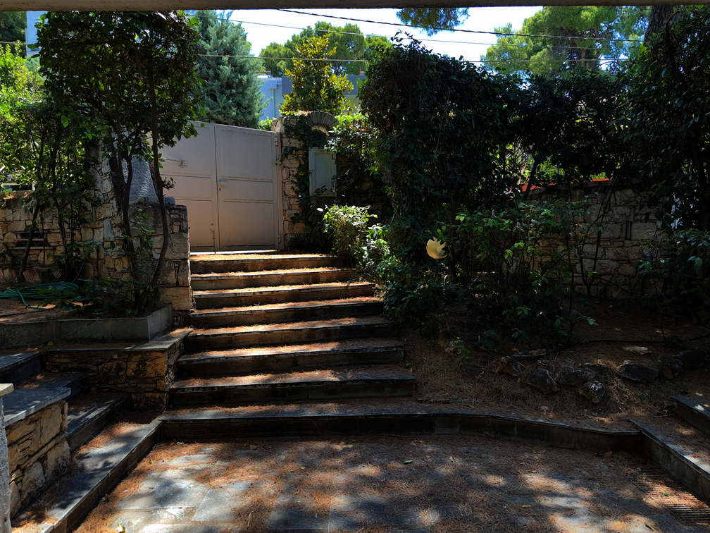 photo1