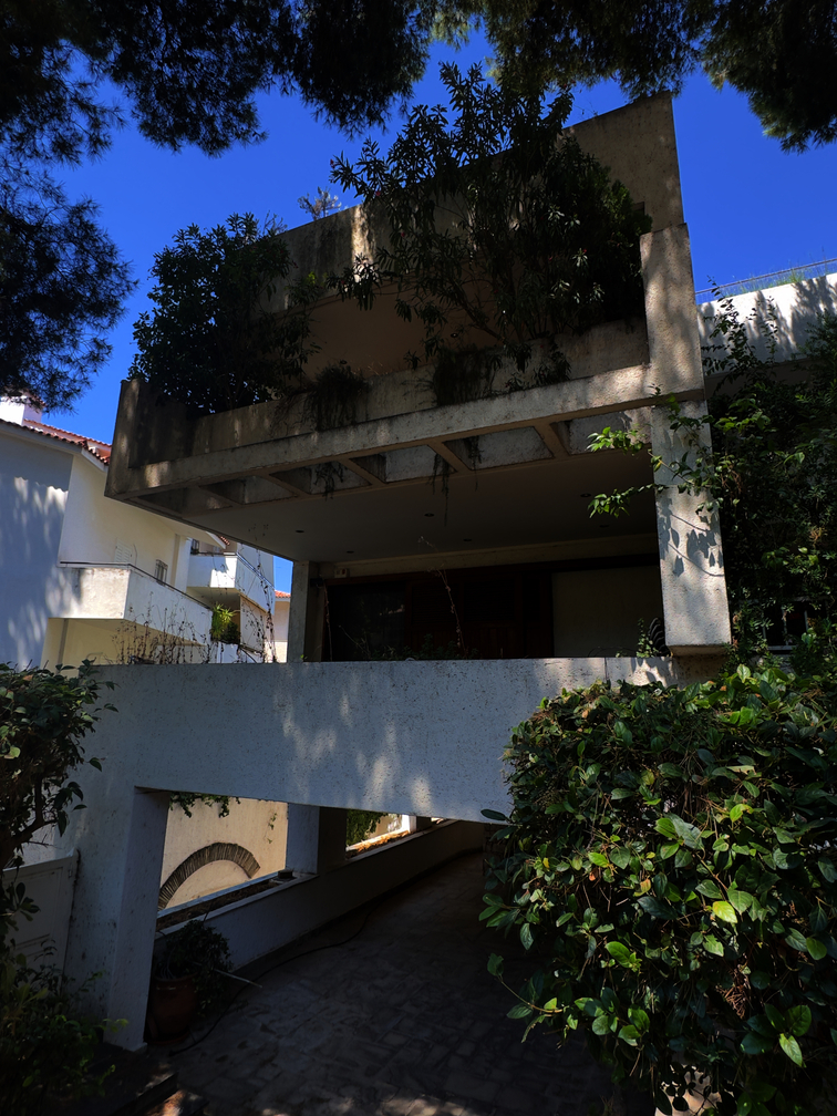 photo6