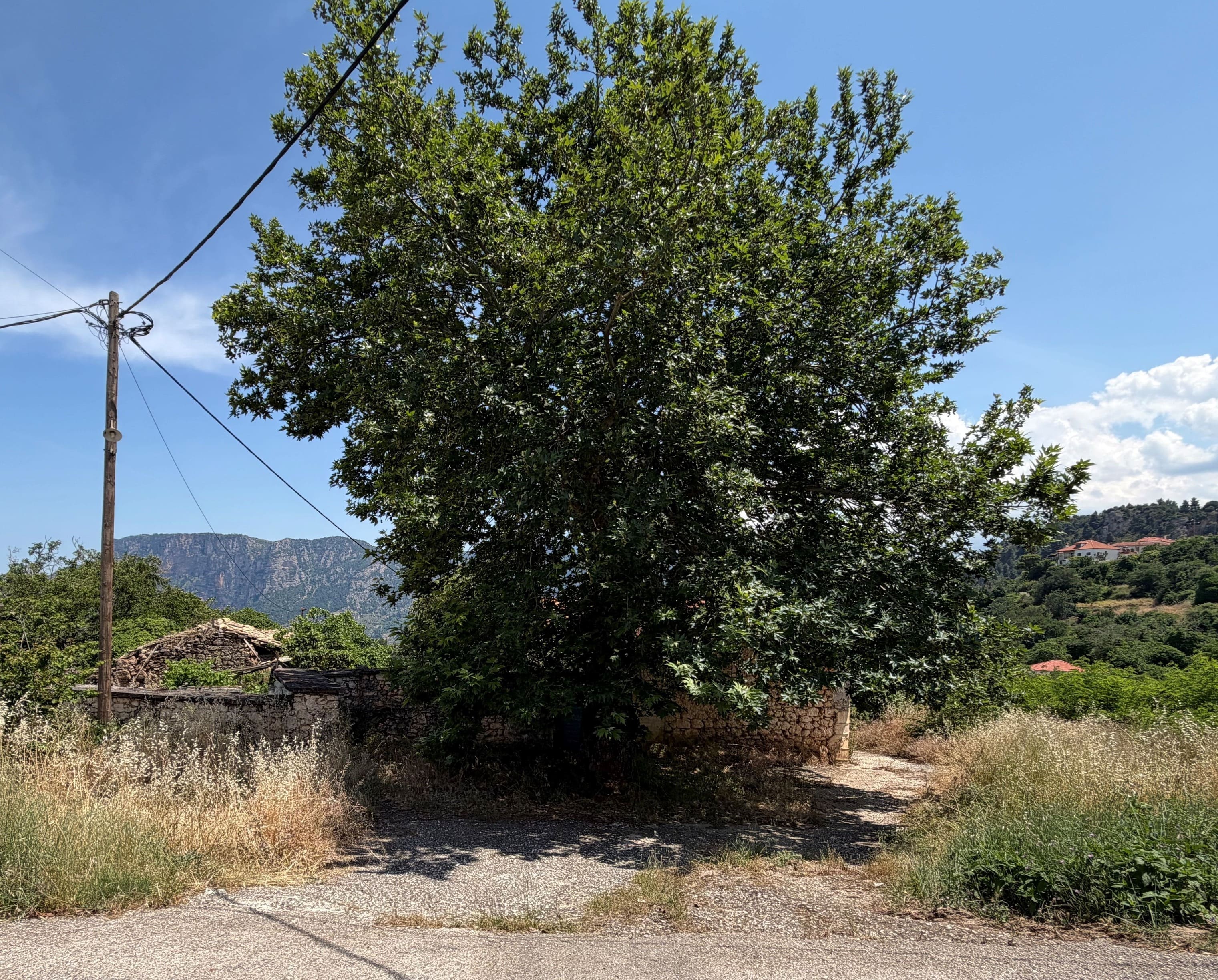 photo3