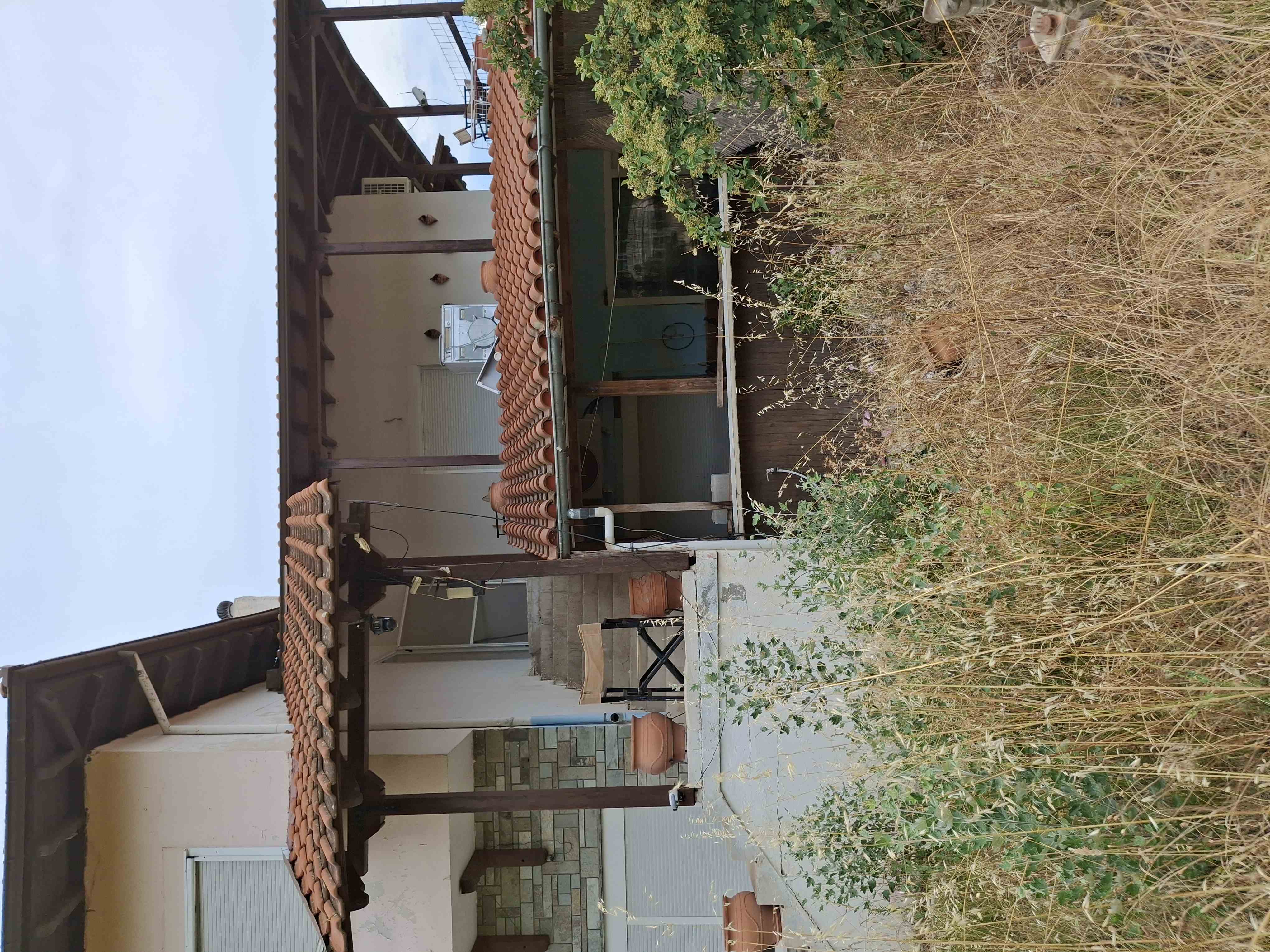 photo1