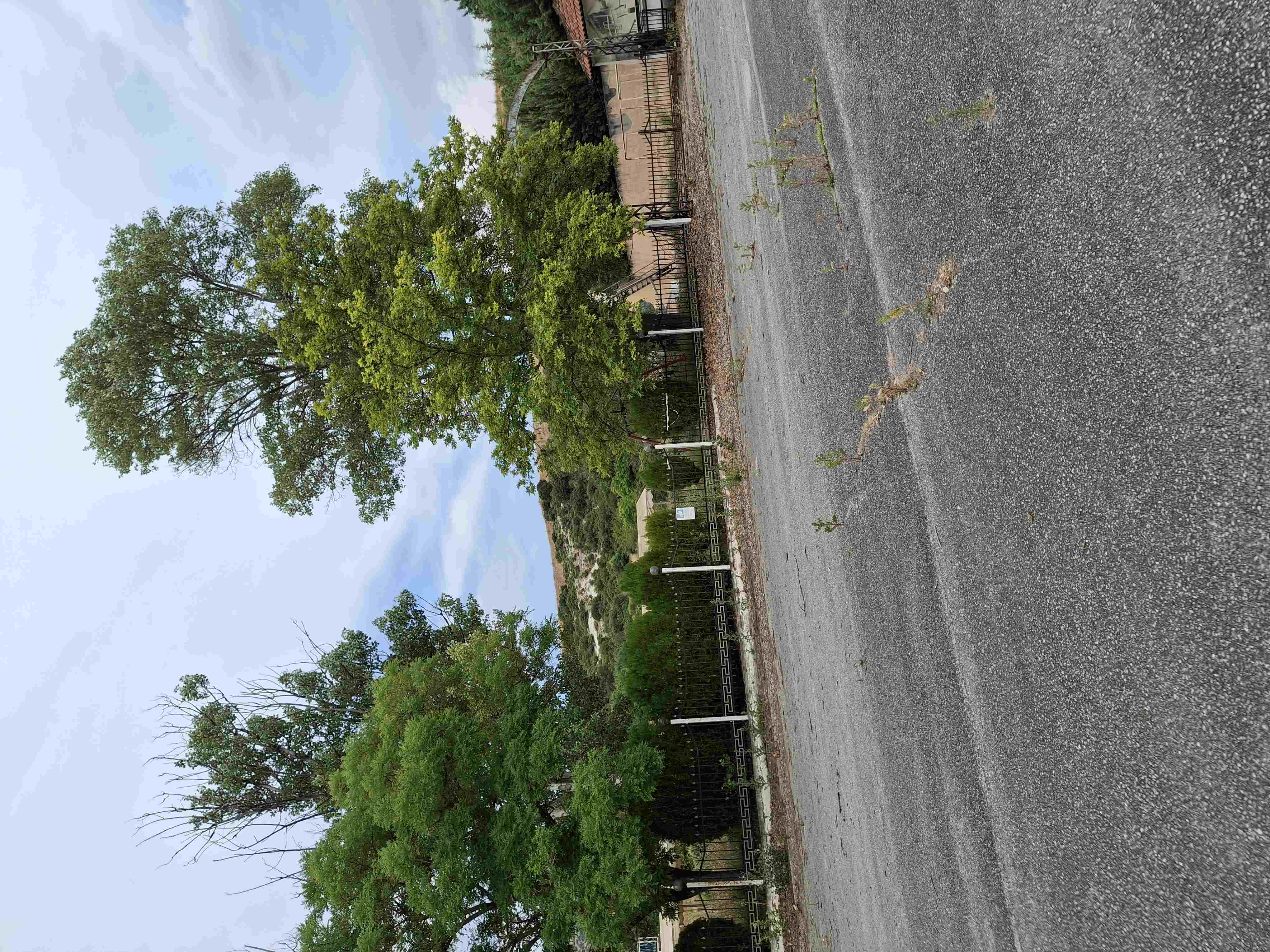photo2