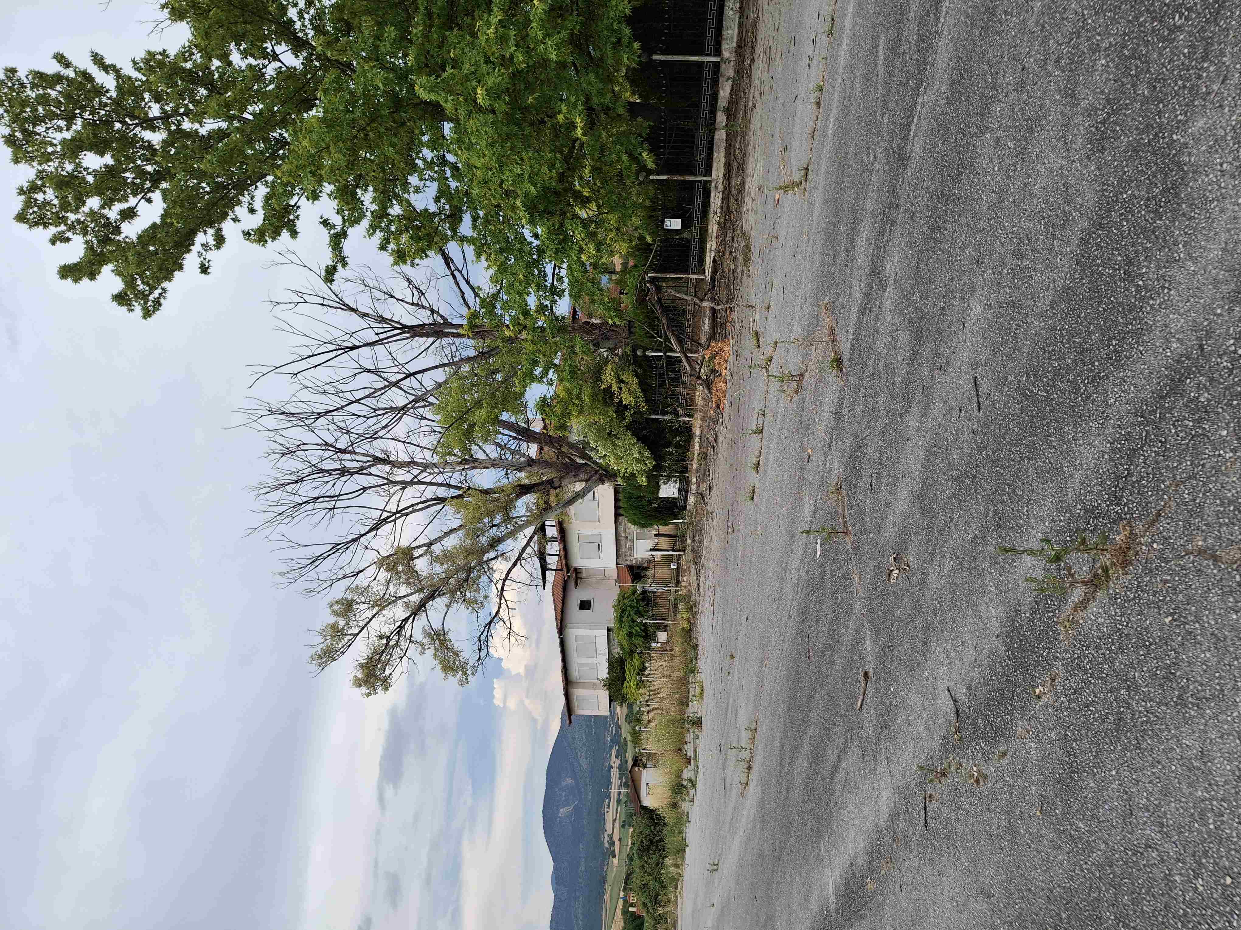 photo3