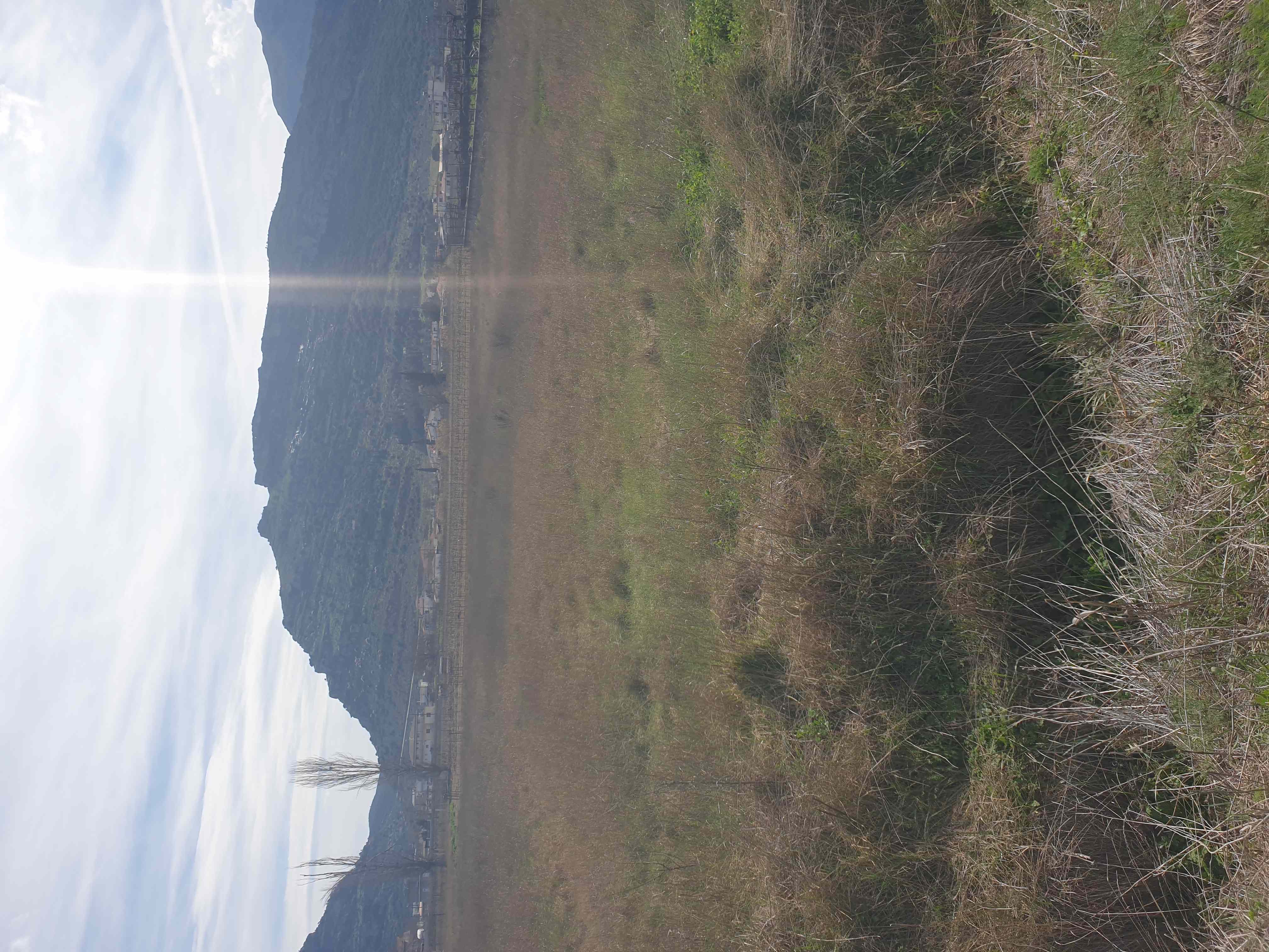 photo1