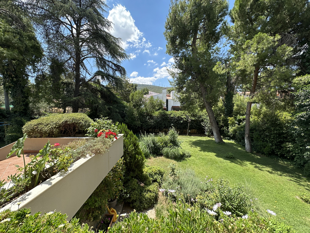photo5