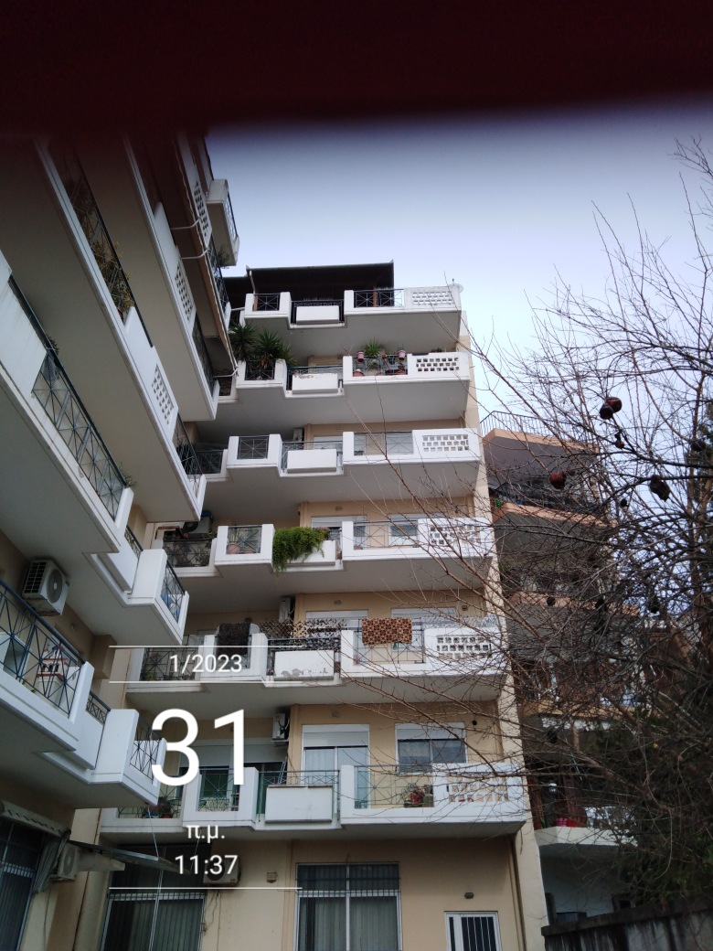 photo6